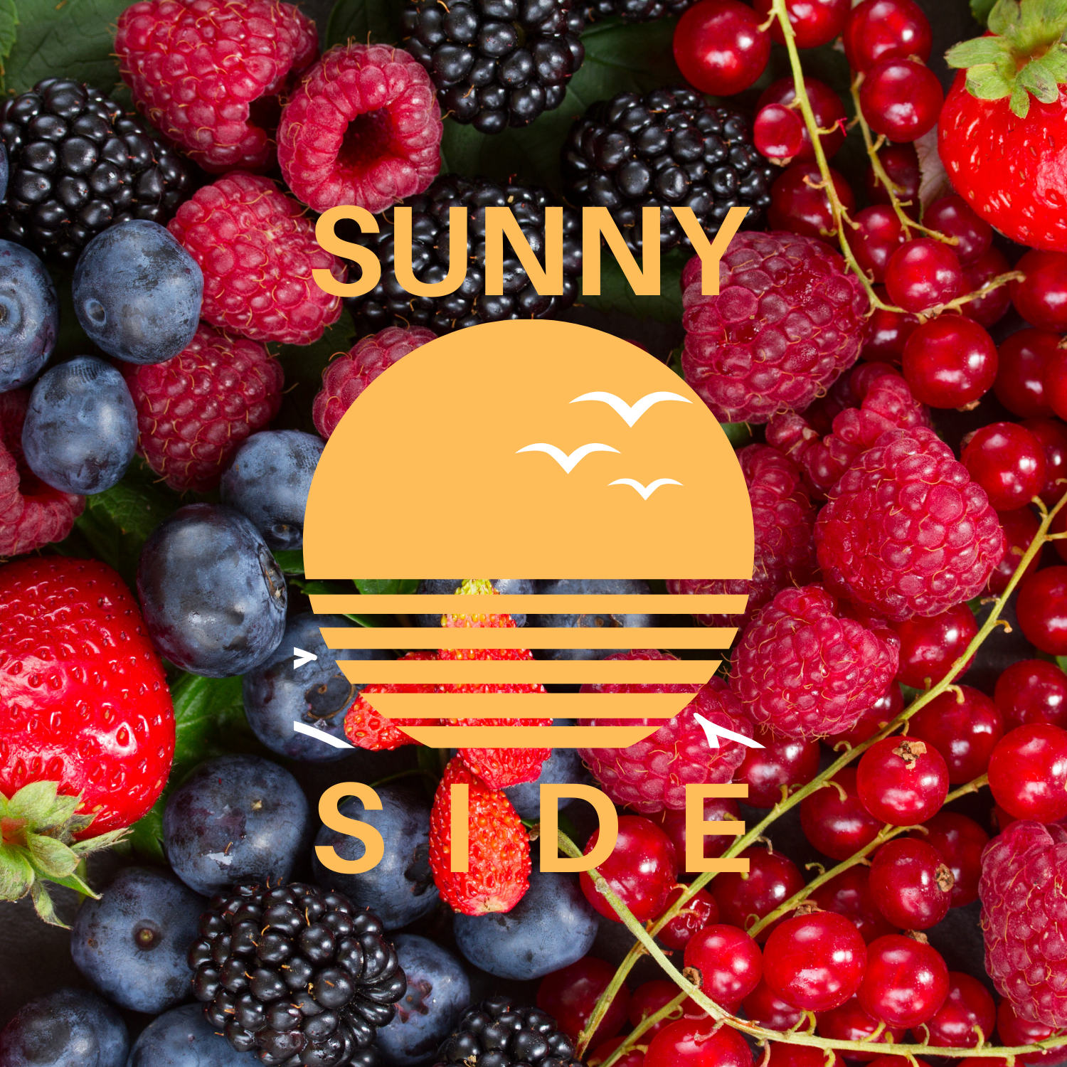 Sunny Side Berries